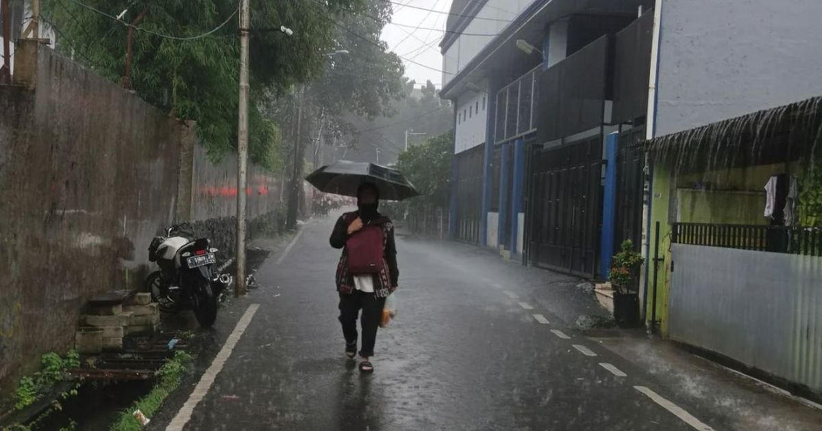 Chuvas intensas aumentam riscos à saúde.