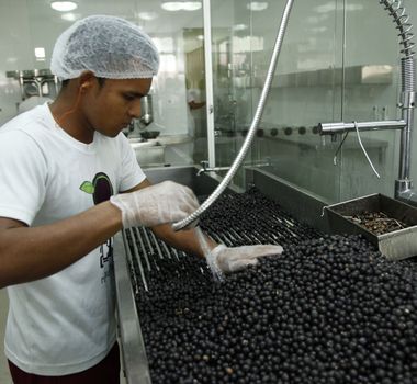 Imagem - Após mortes por Doença de Chagas, MP fiscaliza pontos de Açaí em Ananindeua