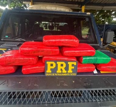 Imagem - PRF apreende quase 12 kg de skunk em ônibus interestadual na BR-230, no Pará