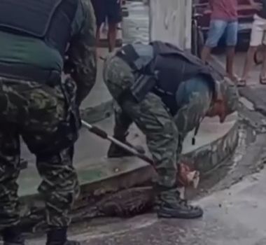 Imagem - Moradores da Pedreira são surpreendidos com jacaré no canal da Pirajá após temporal em Belém