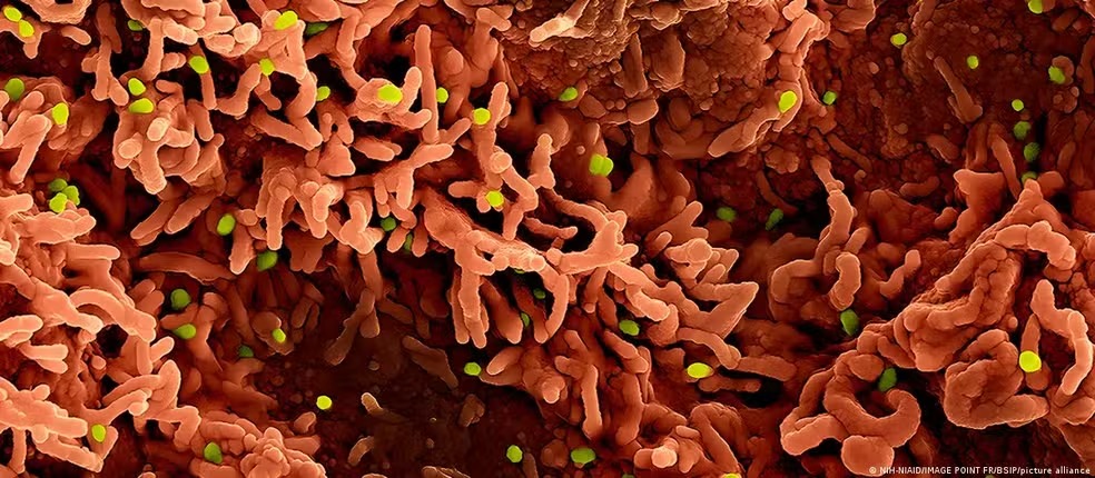 O cenário global em 2026 apresenta um panorama viral complexo que mantém especialistas em doenças infecciosas em estado de alerta