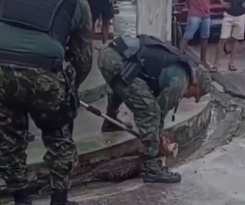 Imagem - Moradores da Pedreira são surpreendidos com jacaré no canal da Pirajá após temporal em Belém