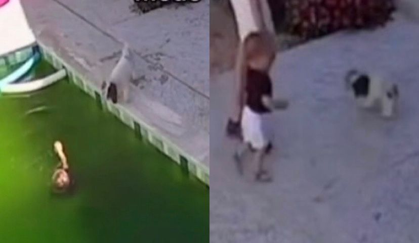 O caso foi contado pela mãe da criança, a empresária Kamila Melo, em um vídeo publicado nas redes sociais