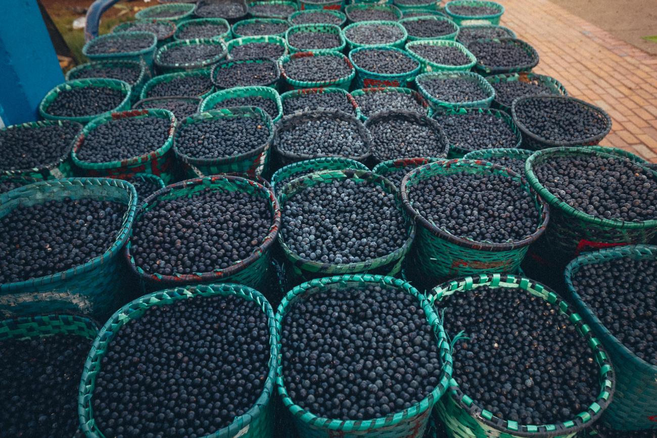 Lista reúne estabelecimentos licenciados em vários bairros e ajuda consumidores a escolher onde comprar com mais segurança