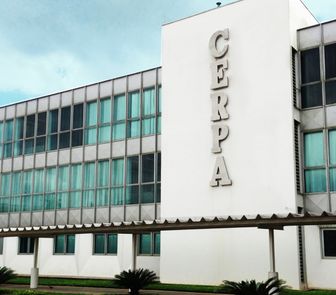 Imagem - Cerpa projeta expansão nacional em 2026 com foco no Nordeste e parceria com o sistema Coca-Cola