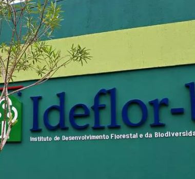 Imagem - Ideflor-Bio abre PSS com 14 vagas para níveis fundamental, médio e superior