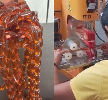 Imagem - Mel em sachê fortalece agricultura familiar em Dom Eliseu