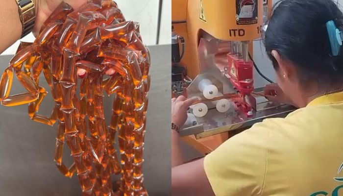 Mel em sachê fortalece agricultura familiar em Dom Eliseu