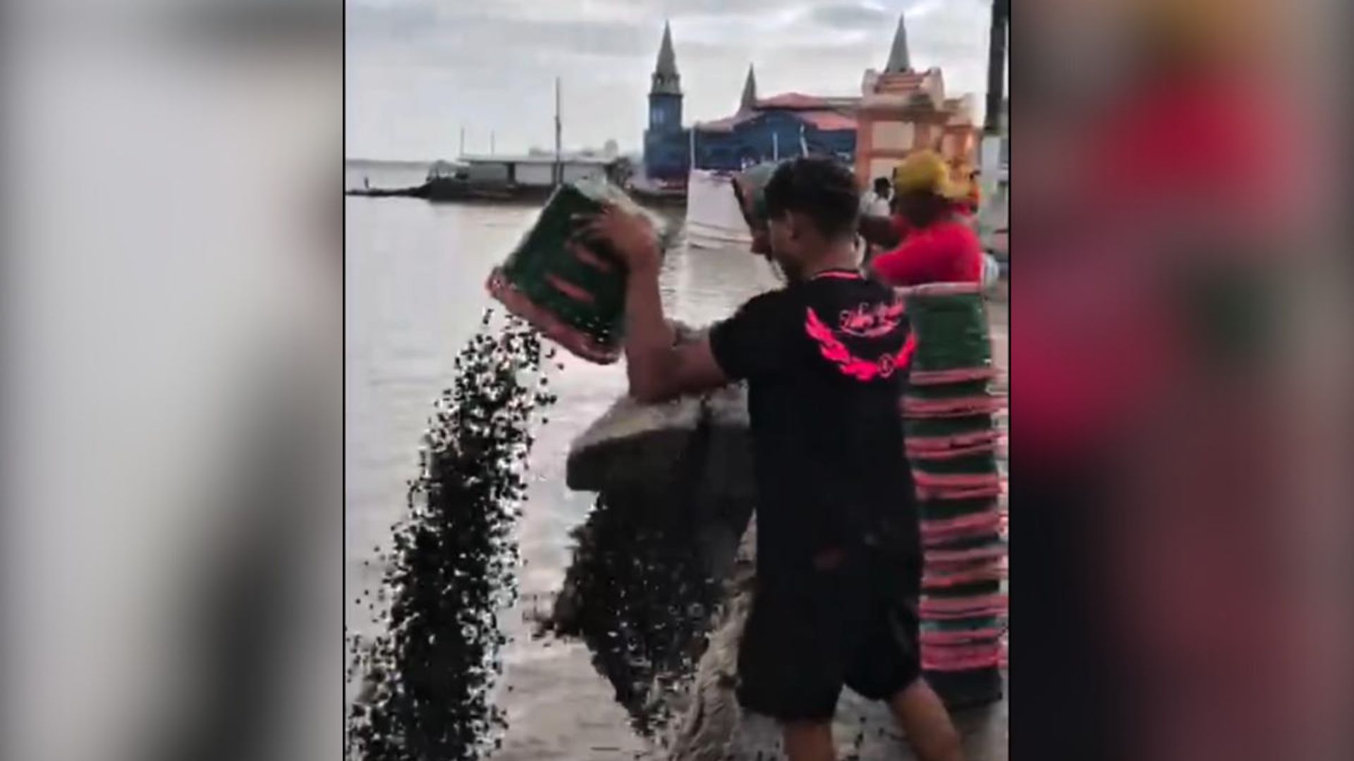 Imagem - Liderança do açaí no Pará expõe motivo do preço alto do fruto em Belém; entenda