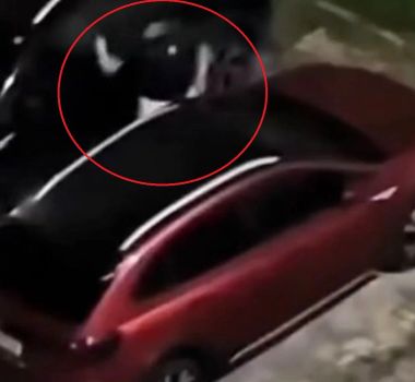 Imagem - Homem quebra carro de vizinho após cachorro ser atropelado em Ananindeua