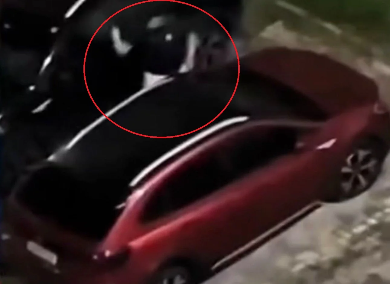 Imagem - Homem quebra carro de vizinho após cachorro ser atropelado em Ananindeua