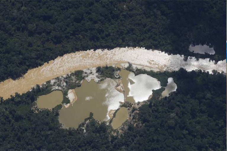 (A nota técnica alerta que o uso generalizado da substância tem provocado contaminação nos ecossistemas amazônicos, com efeitos severos sobre a saúde de populações ribeirinhas e indígenas.)