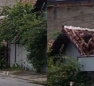 Imagem - Suspeito é rendido após ser flagrado em telhado de casa em Ananindeua