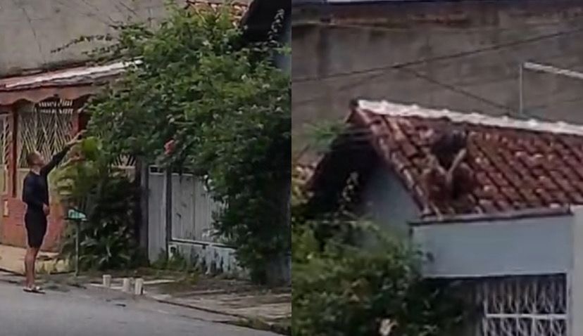 O caso aconteceu na Cidade Nova 8, em Ananindeua na manhã desta sábado (7)