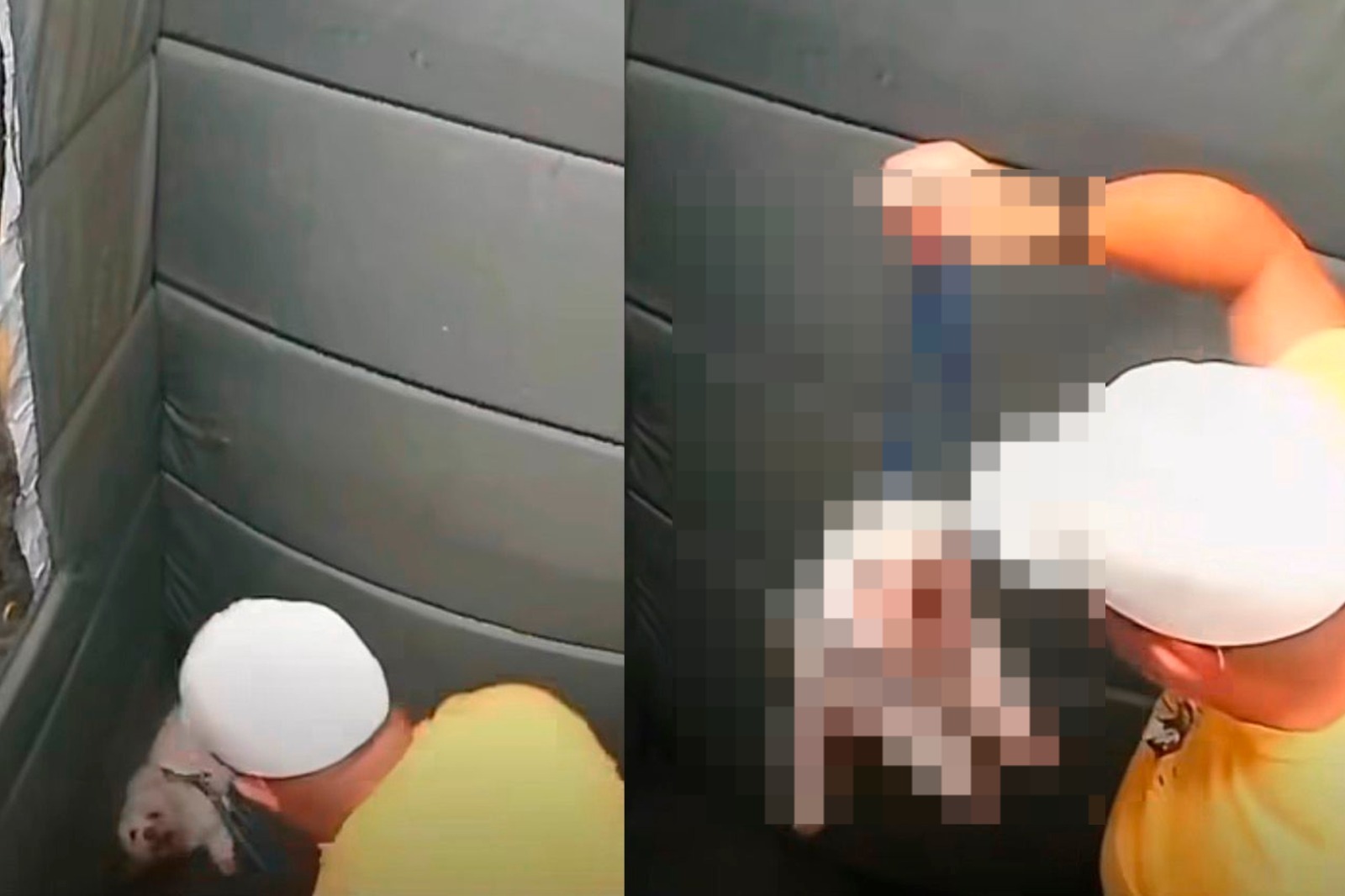 Guarda municipal aposentado é investigado após agredir cachorro dentro de elevador em Praia Grande