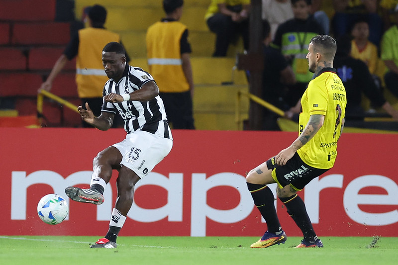Botafogo precisa de uma vitória simples para avançar de fase - 