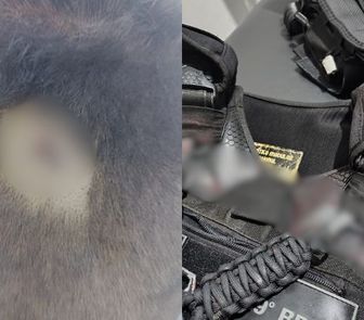 Imagem - Policial é esfaqueado durante ocorrência em Ananindeua; suspeito morre baleado