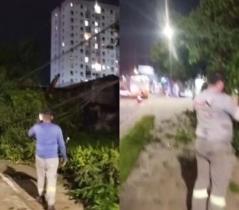 Imagem - Árvore cai e atinge fiações de energia e internet na Augusto Montenegro, em Belém