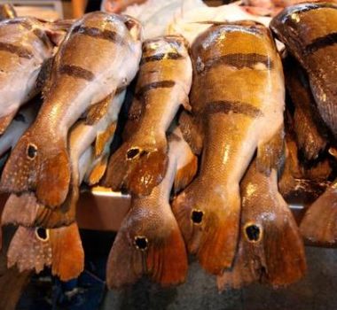 Imagem - Pescado fica mais caro em Belém e Prefeitura promete reforço na fiscalização dos preços