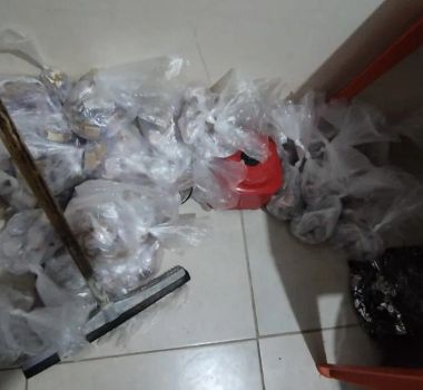 Imagem - Polícia Militar apreende mais de 40 kg de drogas e prende casal na zona sul de São Paulo