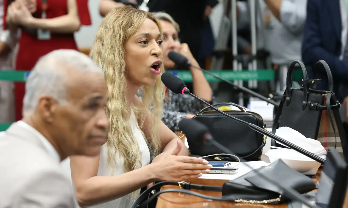 (Deputada federal Erika Hilton (PSOL-SP) 