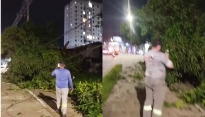 Árvore cai e atinge fiações de energia e internet na Augusto Montenegro, em Belém