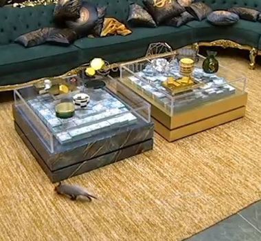 Imagem - Gambá invade casa do BBB 26 durante a madrugada e surpreende participantes; assista