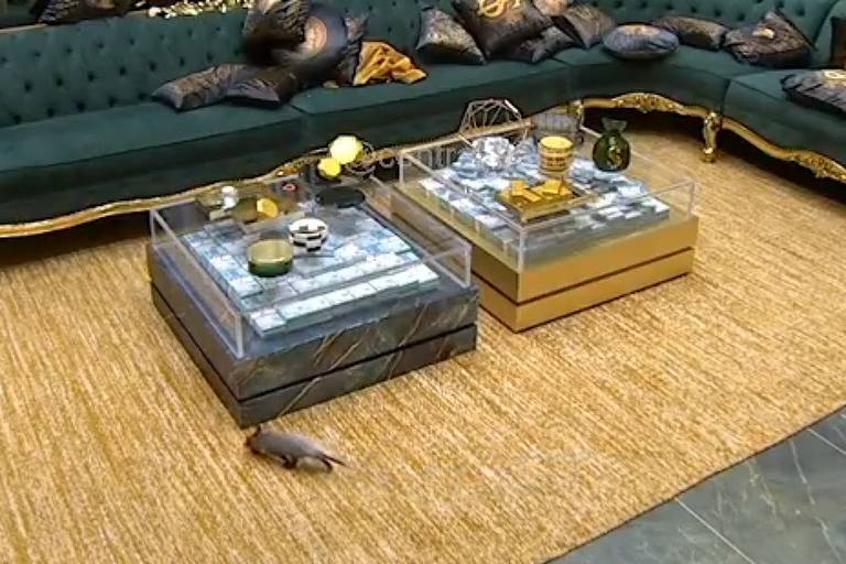 Imagem - Gambá invade casa do BBB 26 durante a madrugada e surpreende participantes; assista