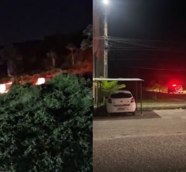 Imagem - Dois homens são encontrados mortos em área de mata na Grande Belém