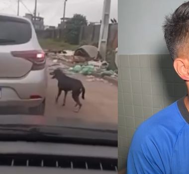 Imagem - Motorista se defende após vídeo de cachorro correndo atrás de carro viralizar em Belém