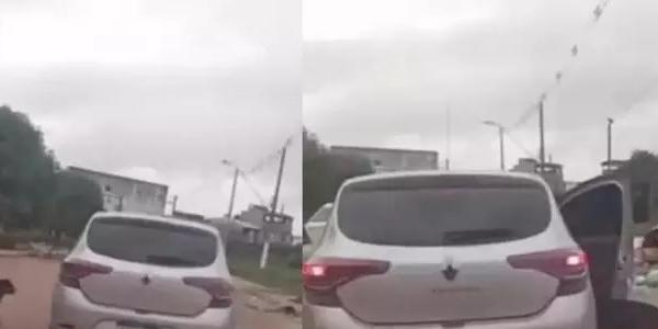 Momento em que o animal foi visto saindo do veículo.