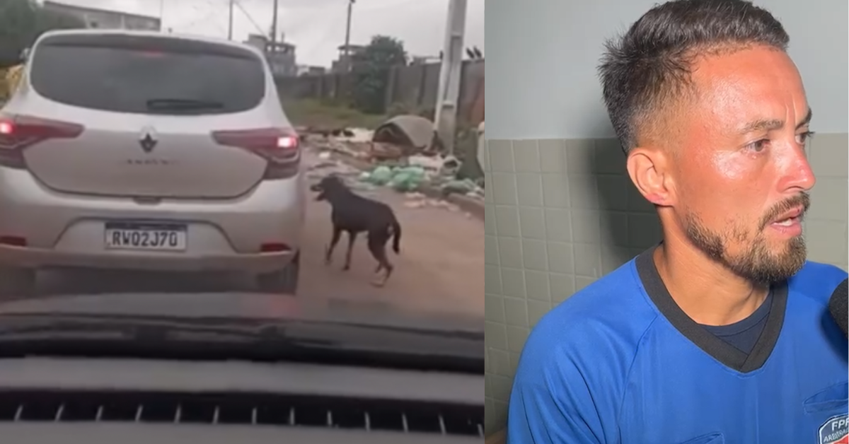 Motorista se defende após vídeo de cachorro correndo atrás de carro viralizar em Belém

