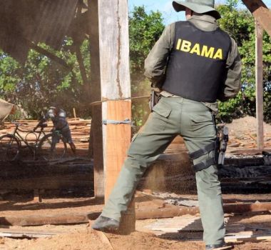 Imagem - Fiscais do Ibama são vítimas de emboscada no Amazonas e se escondem na floresta