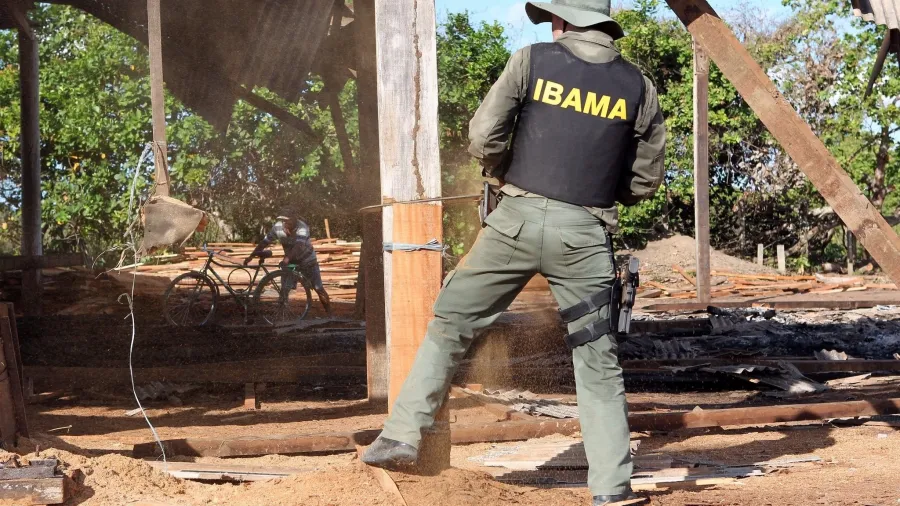 Fiscais do Ibama são vítimas de emboscada no Amazonas e se escondem na floresta - 
