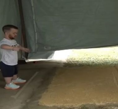 Imagem - Moraes determina novo TAF para candidato com nanismo em prova da PCMG