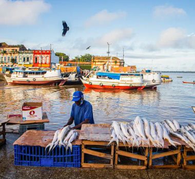 Imagem - Peixe contaminado preocupa ribeirinhos no Pará; estudo aponta metais até 30 vezes acima do limite