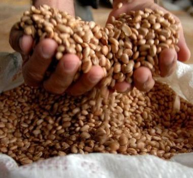 Imagem - Preço do feijão dispara mais de 18% e pressiona custo da cesta básica no Pará