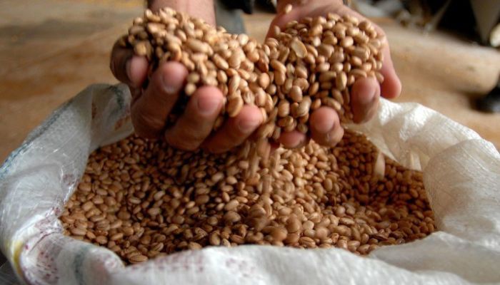 Preço do feijão dispara mais de 18% e pressiona custo da cesta básica no Pará