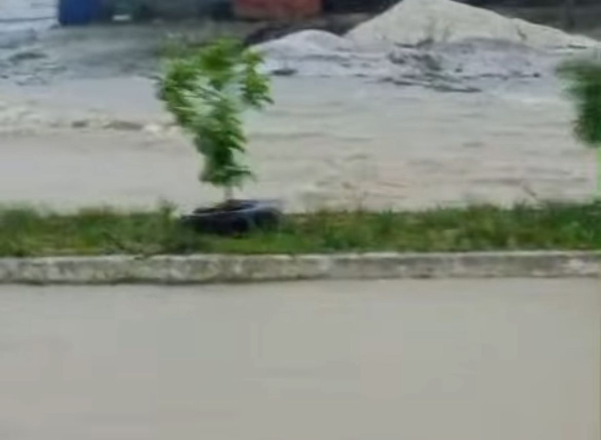 Temporal alagou ruas de Capitão Poço - 