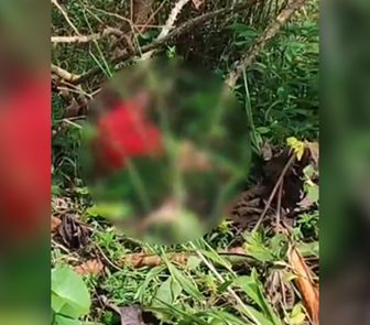 Imagem - Corpo é encontrado às margens de rodovia no nordeste do Pará