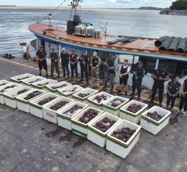 Imagem - Adepará apreende 2 mil litros de polpa de açaí sem procedência