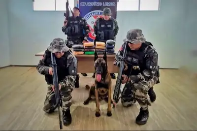 (A droga, que totalizou mais de 16 quilos, estava escondida em duas mochilas posicionadas debaixo de uma carreta.)