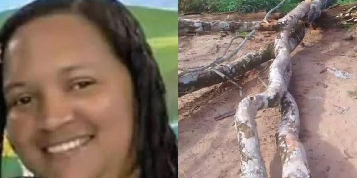 Imagem - Missionária morre após ser atingida por árvore durante vendaval na zona rural de Uruará, no Pará