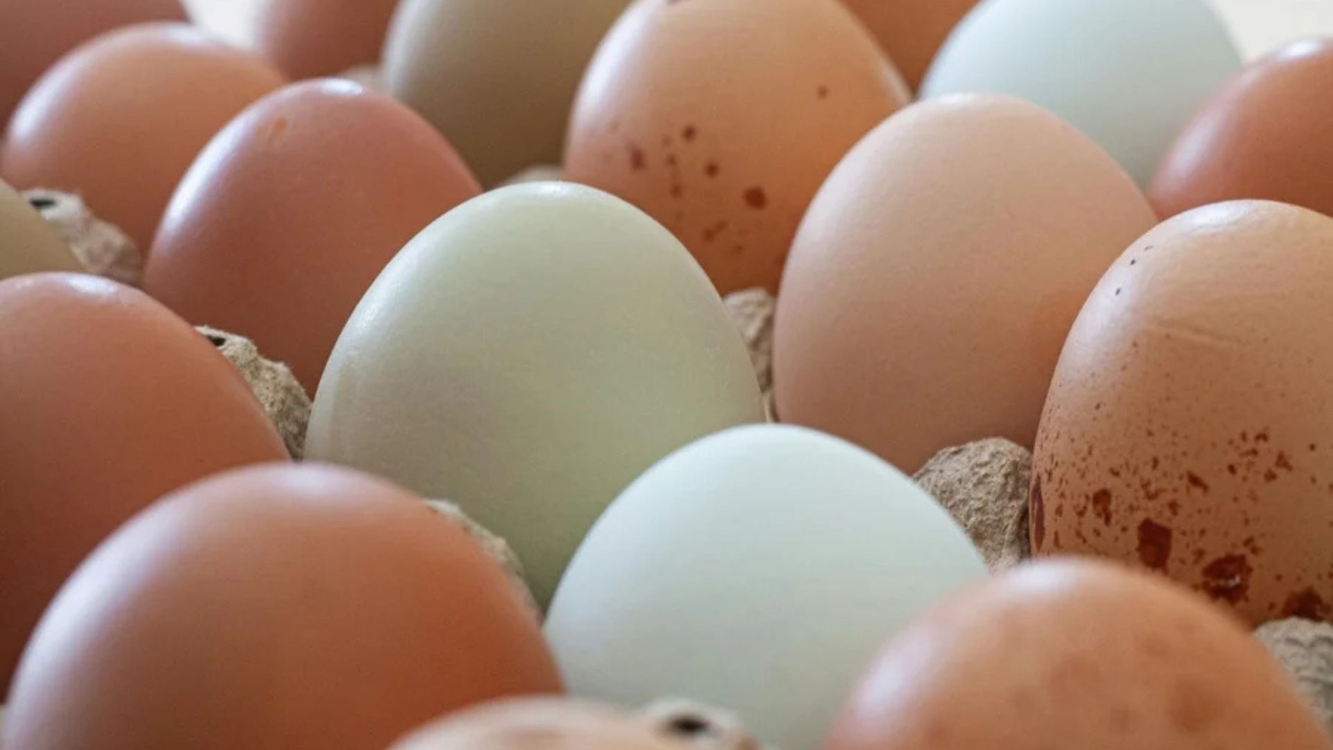 Imagem - Guerra pode impactar no preço dos alimentos no Brasil