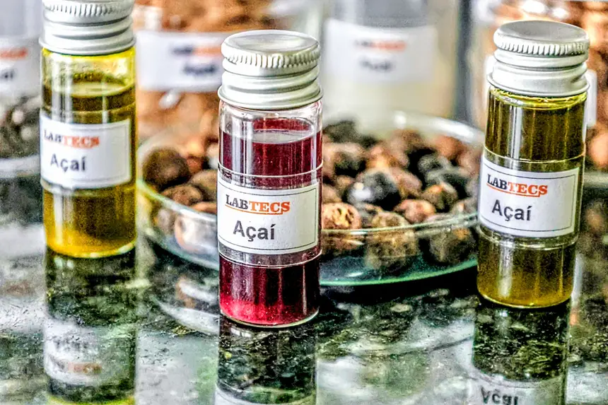 Pará movimenta R$ 13,5 bilhões com bioeconomia e valoriza sociobiodiversidade - 