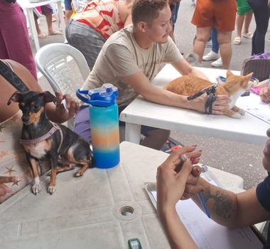 Imagem - Vacinação, adoção e microchipagem de cães e gatos acontecem neste domingo em Belém; veja o local