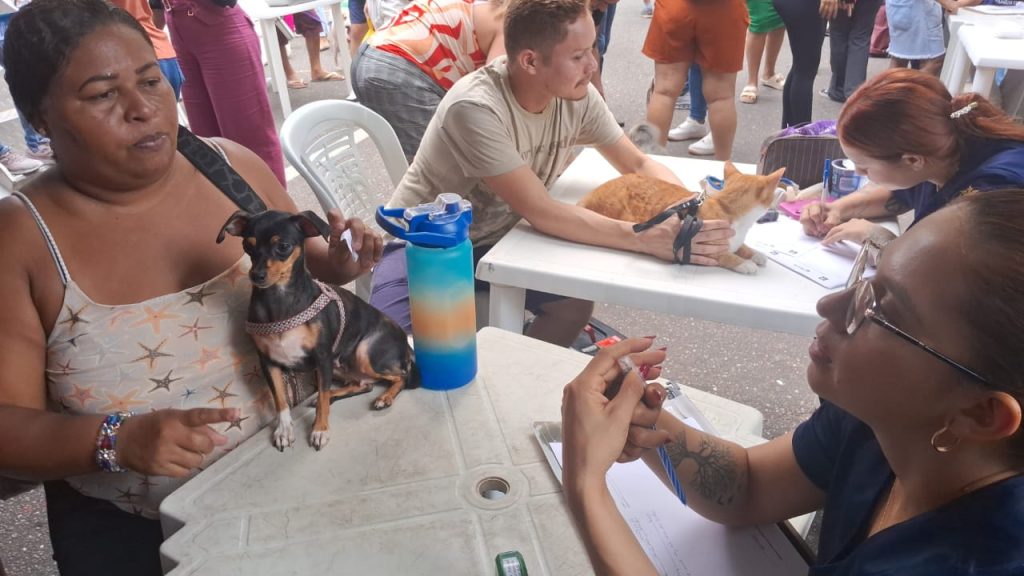 Vacinação, adoção e microchipagem acontecem neste domingo em Belém - 