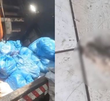 Imagem - Suposto dedo humano é encontrado no lixo próximo a hospital em Castanhal