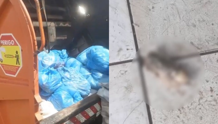 (Suposto dedo humano é encontrado no lixo próximo a hospital em Castanhal)