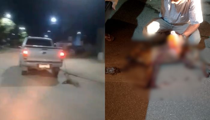 Vídeo mostra cachorro sendo arrastado por caminhonete e causa revolta no Pará